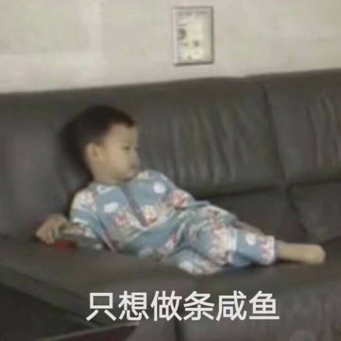 去微博逛了几天的我hhhhhh，青你2的主题考核选曲你们投票了嘛，我感觉我枯了，给喻言她们选的都不咋对，就，很bad