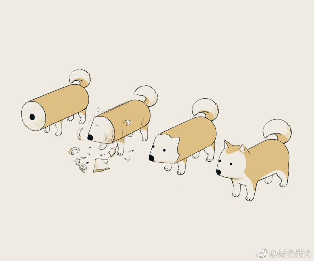 柴犬钻头