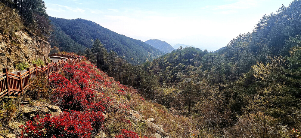 4月12日，阳光明媚，春暖花开。随着旅游的日渐复苏，位于吉安市安福县的羊狮慕景区迎来了一波又一波的旅游人群，景区优美的风光让游客们赞不绝口，流连忘返。羊狮慕景区与武功山金顶一脉相承，号称'姐妹峰'。景区总面积37.5平方公里，最高峰天子峰(又名'石笋峰')海拔1764米，景区以花岗岩峰林地貌为主，千姿百态，巍峨壮观。宋代大诗人杨万里求学期间游历此山，在观赏了鬼斧神工的石笋峰后，留下憾世诗篇:"笔锋插霄汉，云气蘸锋芒。时时同挥洒，散作甘露香。"(摄/肖勇)