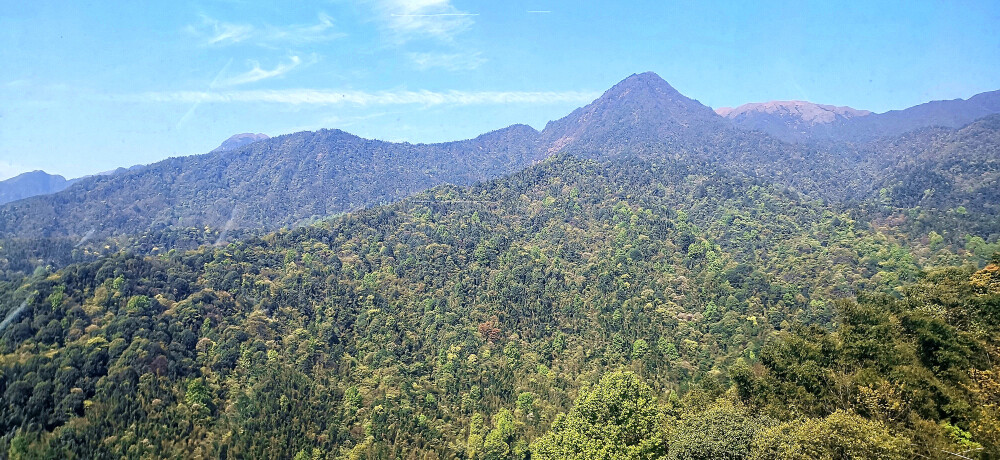 4月12日，阳光明媚，春暖花开。随着旅游的日渐复苏，位于吉安市安福县的羊狮慕景区迎来了一波又一波的旅游人群，景区优美的风光让游客们赞不绝口，流连忘返。羊狮慕景区与武功山金顶一脉相承，号称'姐妹峰'。景区总面积37.5平方公里，最高峰天子峰(又名'石笋峰')海拔1764米，景区以花岗岩峰林地貌为主，千姿百态，巍峨壮观。宋代大诗人杨万里求学期间游历此山，在观赏了鬼斧神工的石笋峰后，留下憾世诗篇:"笔锋插霄汉，云气蘸锋芒。时时同挥洒，散作甘露香。"(摄/肖勇)