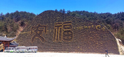 4月12日，阳光明媚，春暖花开。随着旅游的日渐复苏，位于吉安市安福县的羊狮慕景区迎来了一波又一波的旅游人群，景区优美的风光让游客们赞不绝口，流连忘返。羊狮慕景区与武功山金顶一脉相承，号称'姐妹峰'。景区总…