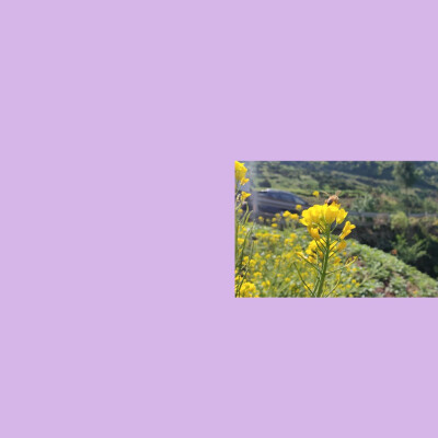 努力的意义在于