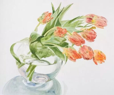 这些玫瑰花插画都来自日本水彩画家Ayako Tsuge柘植彩子。彩子用画笔示范了100种让玫瑰不俗气的方法。不要以为只有玫瑰，彩子擅长画各式各样的花卉、蔬菜和水果，而且每一种都能画出千百个样子来。看她的画就像把你家…