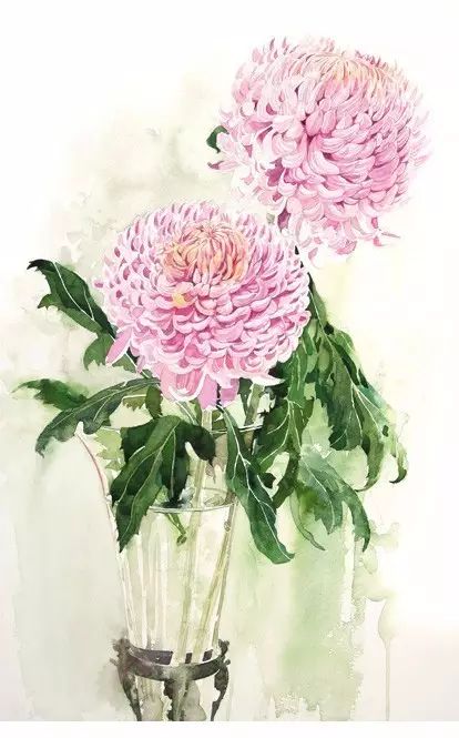 这些玫瑰花插画都来自日本水彩画家Ayako Tsuge柘植彩子。彩子用画笔示范了100种让玫瑰不俗气的方法。不要以为只有玫瑰，彩子擅长画各式各样的花卉、蔬菜和水果，而且每一种都能画出千百个样子来?？此幕拖癜涯慵也妥腊峤嘶铮比皇敲姥樟?0倍的。
