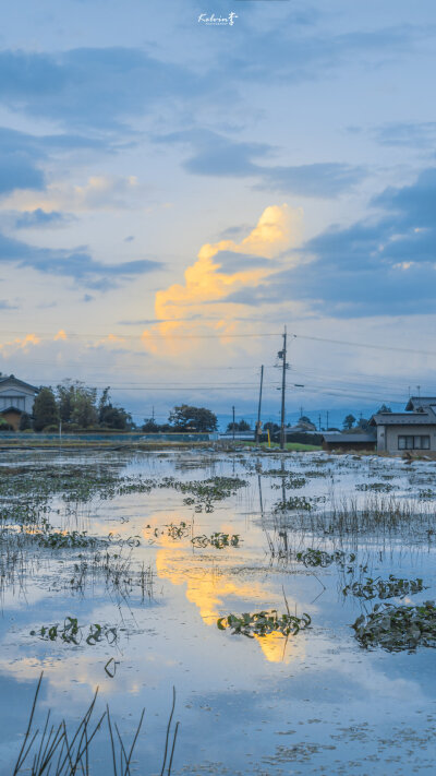 -田 野?乡 间
??kelvin李｜ Wallpaper