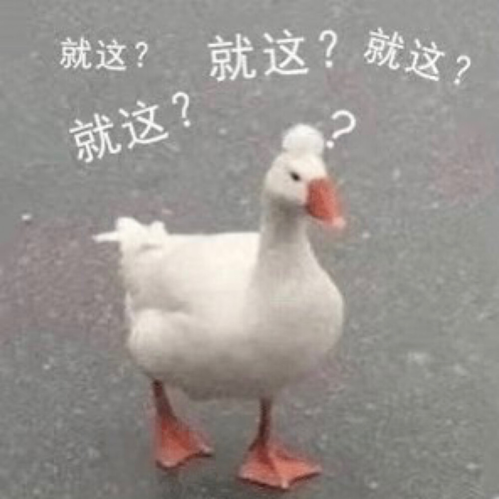 甚是无趣