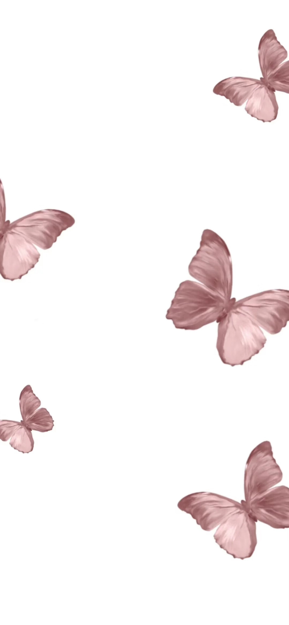 如果我昨天说我喜欢花 你应该昨天就送给我
因为我也不知道我今天会喜欢上蝴蝶～