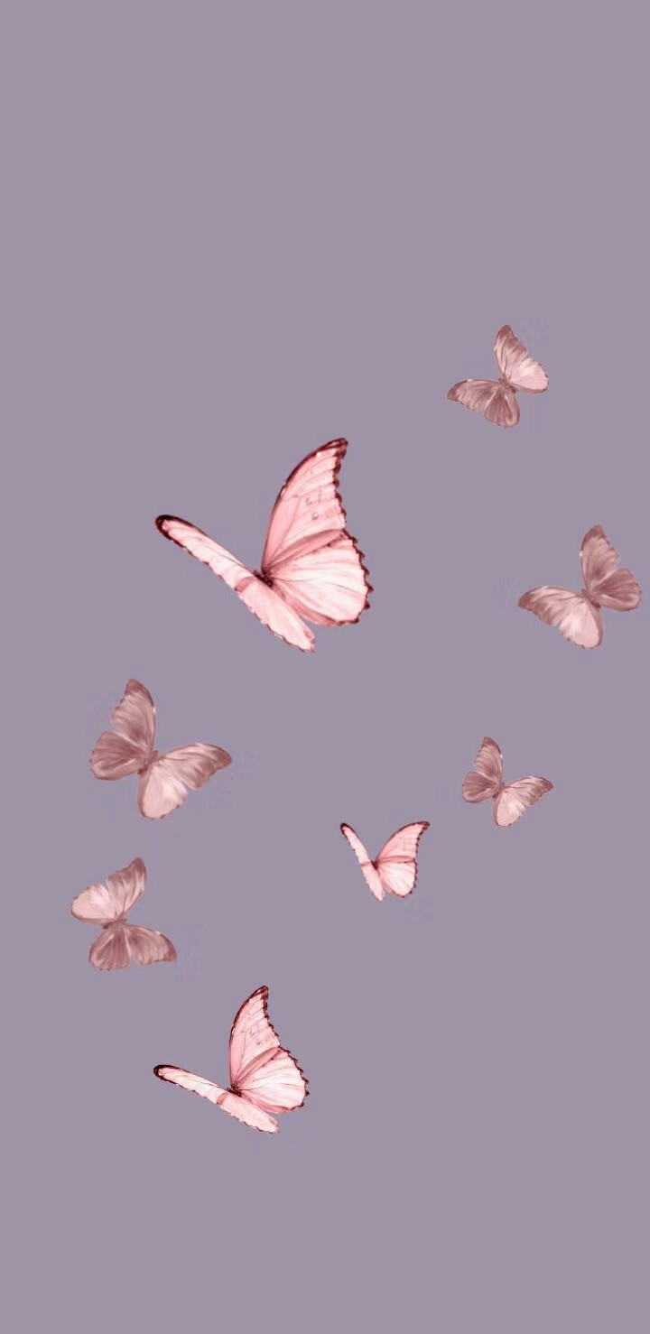 如果我昨天说我喜欢花 你应该昨天就送给我
因为我也不知道我今天会喜欢上蝴蝶～