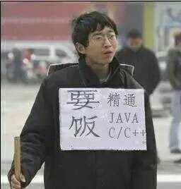 要饭，精通Java C/C++