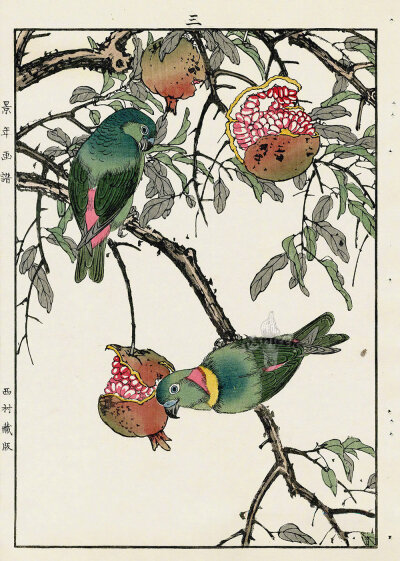 日本版画家 Imao Keinen (今尾 景年, 1845 – 1924) 花鸟作品 ​​​