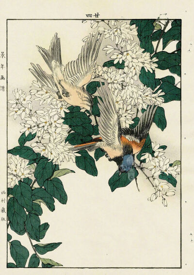 日本版画家 Imao Keinen (今尾 景年, 1845 – 1924) 花鸟作品 ​​​