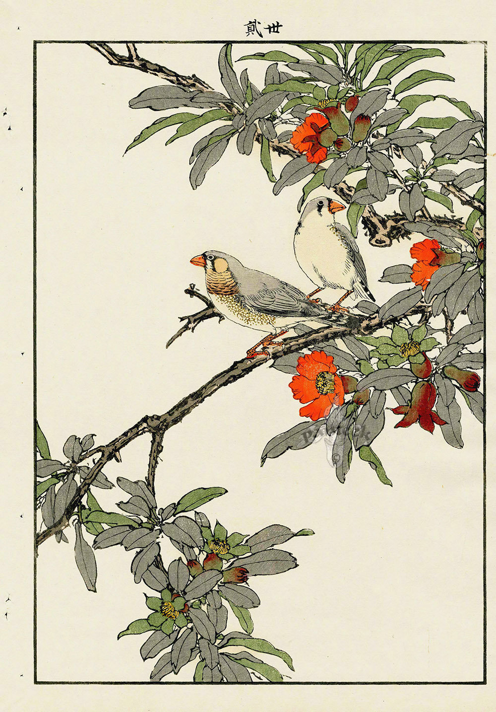 日本版画家 Imao Keinen (今尾 景年, 1845 – 1924) 花鸟作品 ​​​