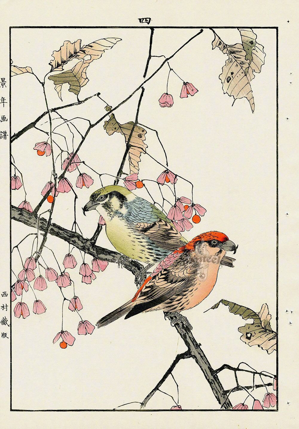 日本版画家 Imao Keinen (今尾 景年, 1845 – 1924) 花鸟作品 ​​​