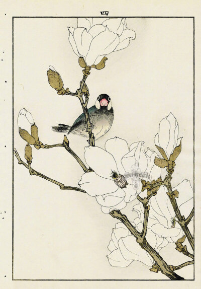 日本版画家 Imao Keinen (今尾 景年, 1845 – 1924) 花鸟作品 ​​​