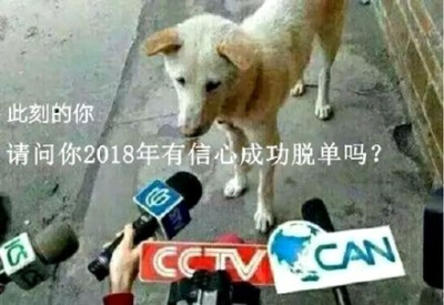 此刻的你，请问你2018年有信心成功脱单吗？