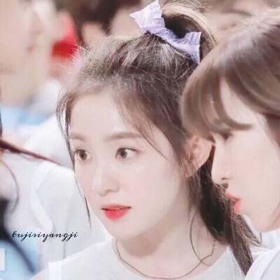 Irene^Wendy
兔叽饲养记