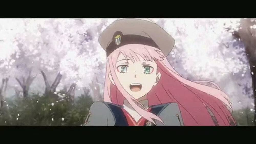 darling in the franxx/亲爱的弗兰克斯