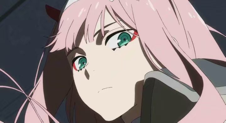 darling in the franxx/亲爱的弗兰克斯