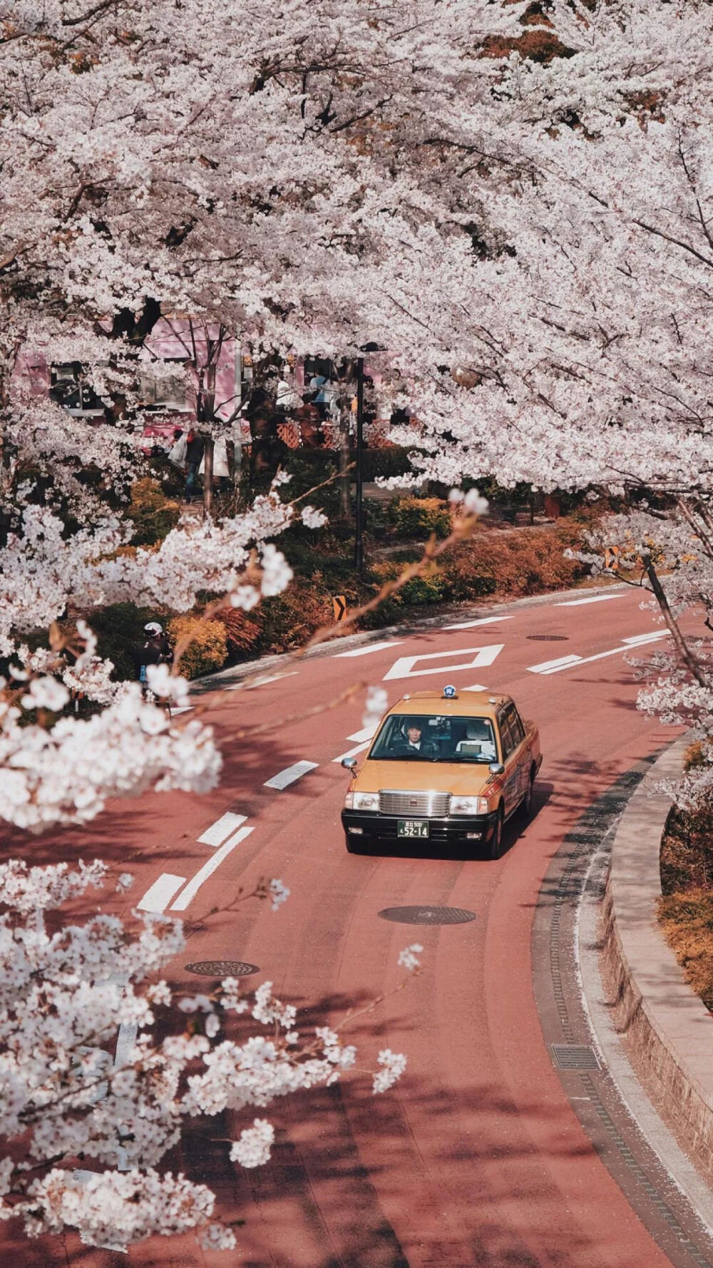 日本风景.壁纸