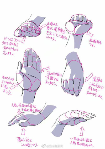 手部绘画素材