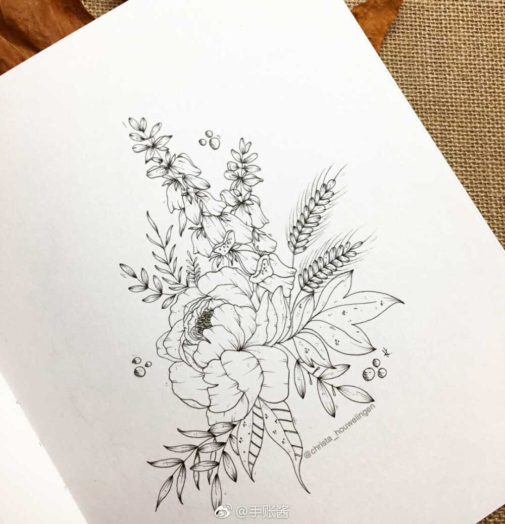 植物花卉，黑白，线稿