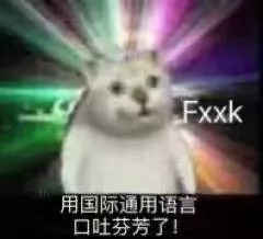 沙雕的猫猫头又来了憨憨