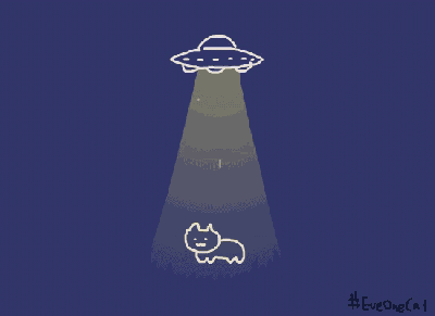 表情包，动图，猫，沙雕猫，UFO，外星猫，