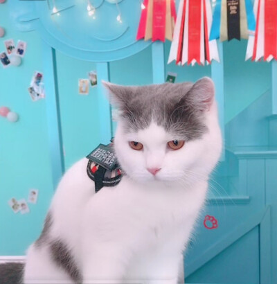 tin宝～