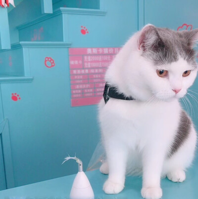 tin宝～