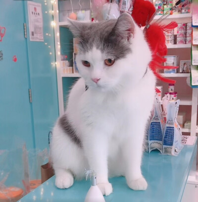 tin宝～