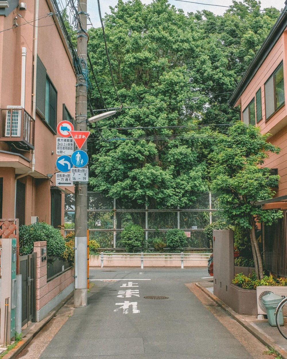 茶不喜欢孤独，我的茶也想要你。 ​
风景☆街道☆天空☆摄影☆蓝色☆春天☆绿色☆房子☆旅行☆国外☆治愈☆外景☆干净☆拿图点赞关注☆经常更新☆源于各处侵权删除☆