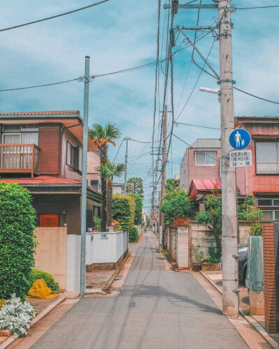 茶不喜欢孤独，我的茶也想要你。 ​
风景☆街道☆天空☆摄影☆蓝色☆春天☆绿色☆房子☆旅行☆国外☆治愈☆外景☆干净☆拿图点赞关注☆经常更新☆源于各处侵权删除☆