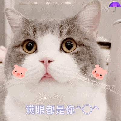 tb雨伞