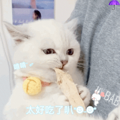 tb雨伞