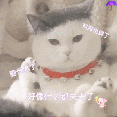 tb雨伞