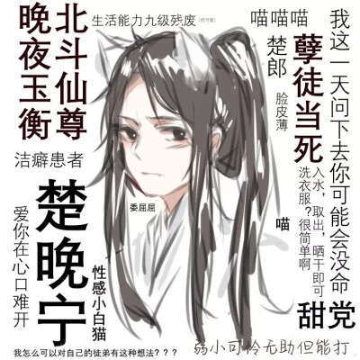 二哈和他的白猫师尊
文字
