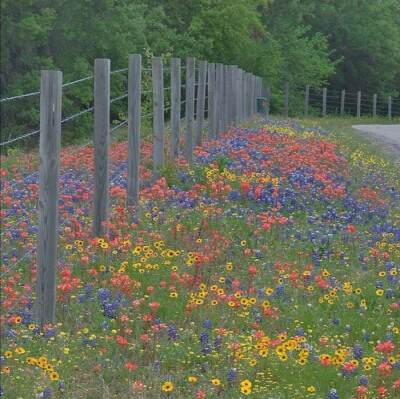 田园风光→油画，爱了爱了