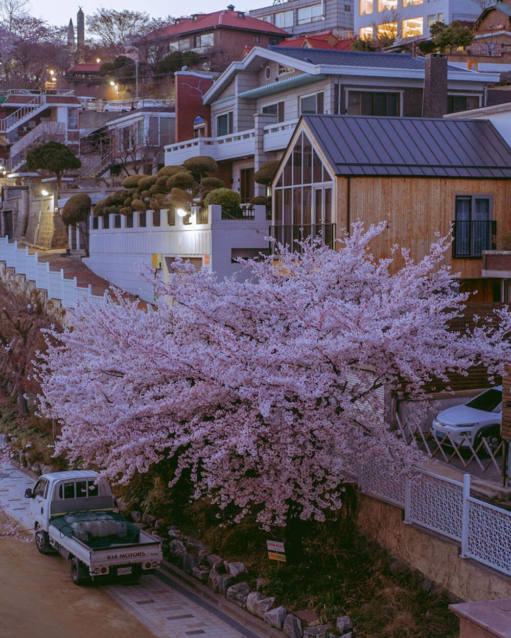 春天有樱花味的天空
以及一勺浓郁的風♡