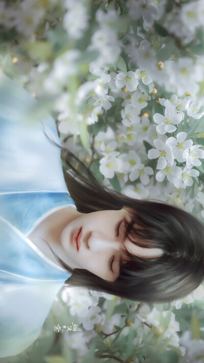 烟波里的棠