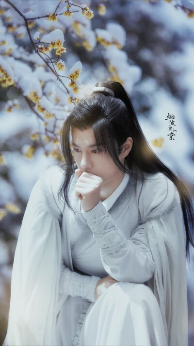 烟波里的棠