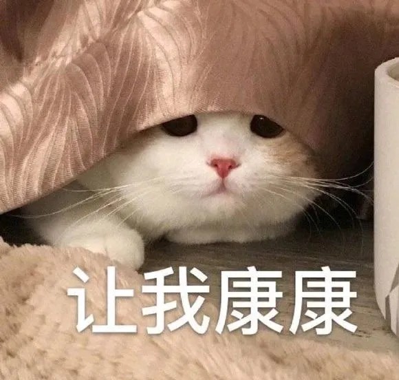 猫表情包