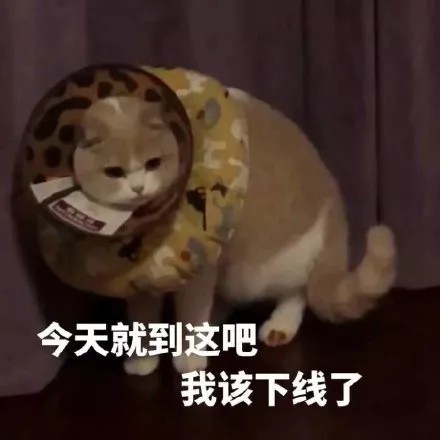 猫表情包