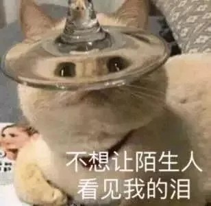 猫表情包