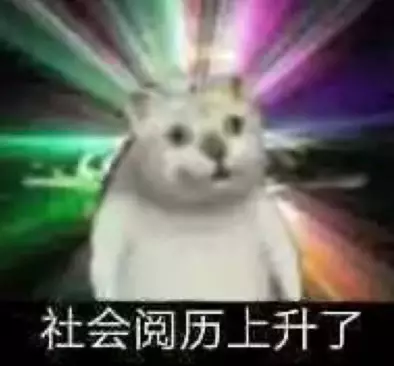 猫表情包