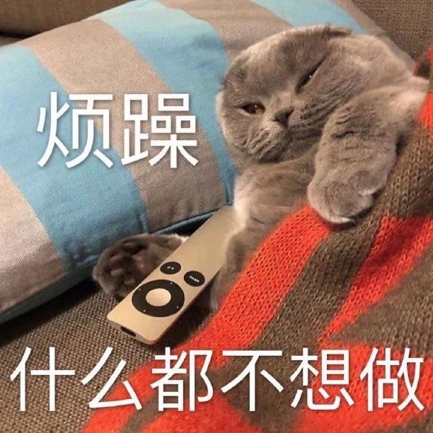 猫表情包