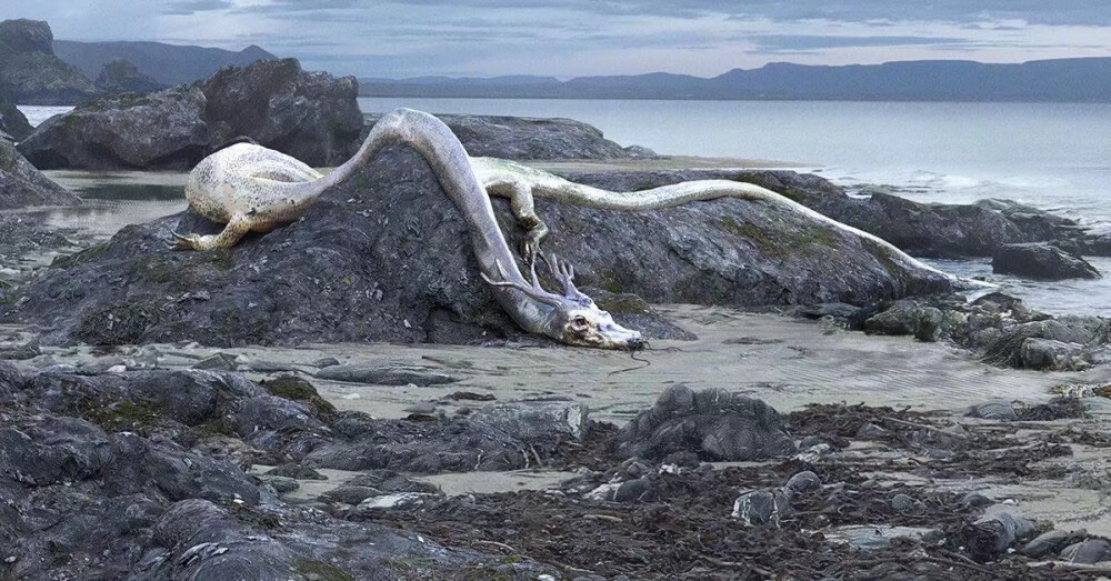 —
“潜龙。”
数字艺术家 GuoDong ​​​​
转自QQ空间