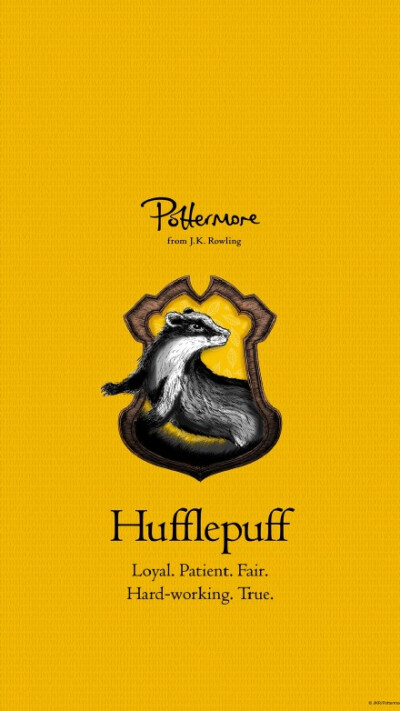 pottermore网站 霍格沃茨四大学院