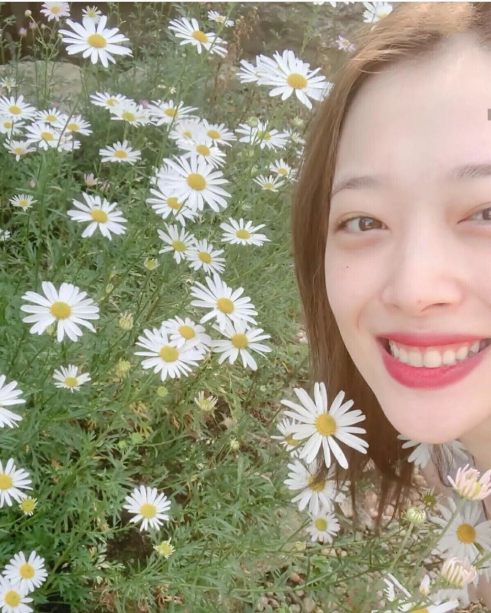 sulli