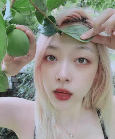 sulli