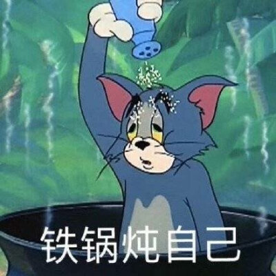 铁锅炖自己(猫和老鼠汤姆猫吗)